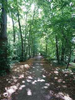 競馬場11.jpg