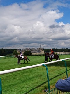 競馬場2.jpg