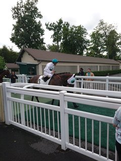 競馬場3.jpg