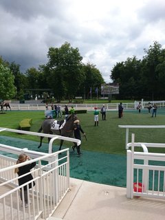 競馬場7.jpg