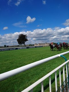 競馬場9.jpg
